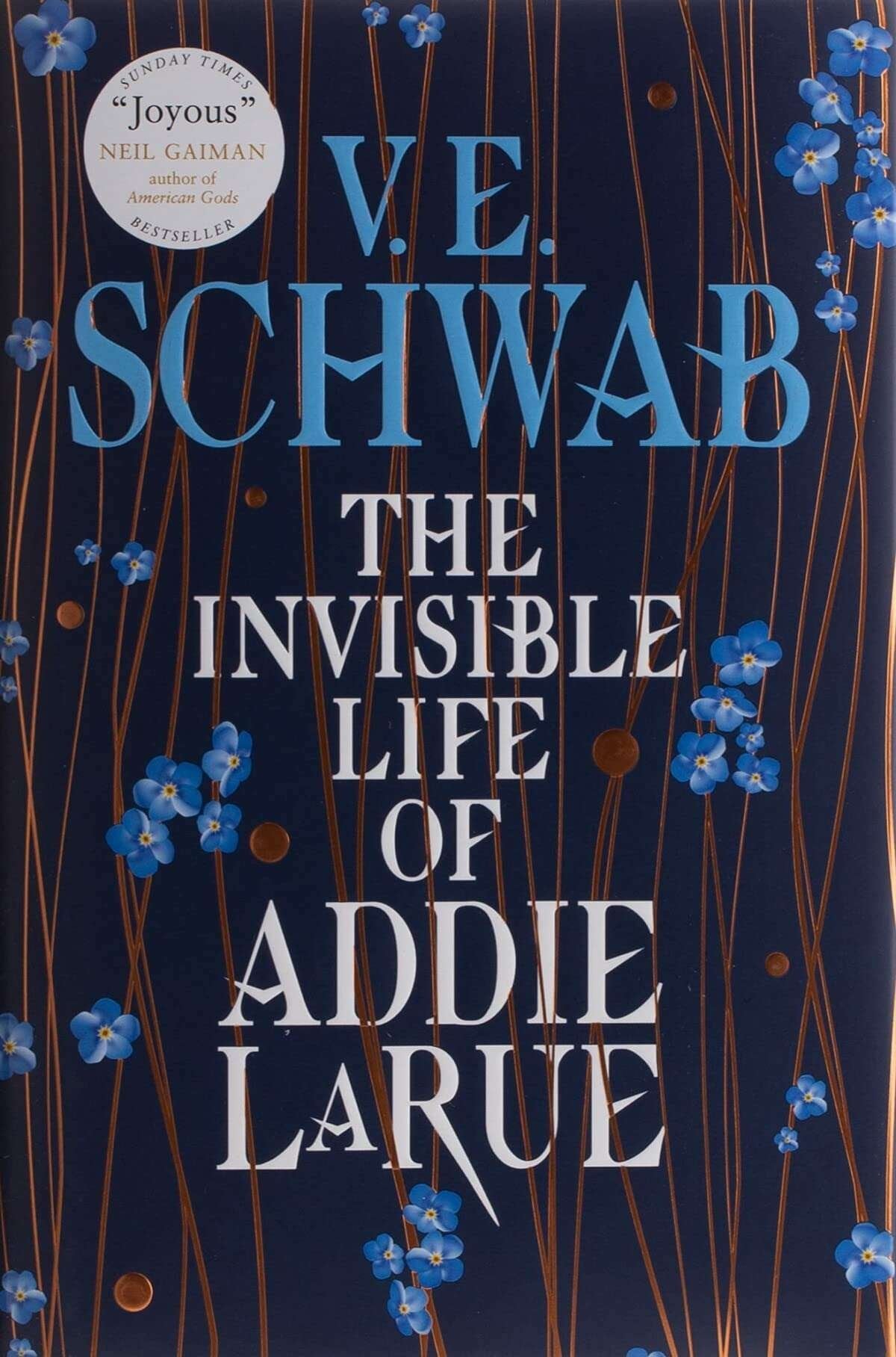 Buy The Invisible Life of Addie Laura by Ve Schwab (paperback)