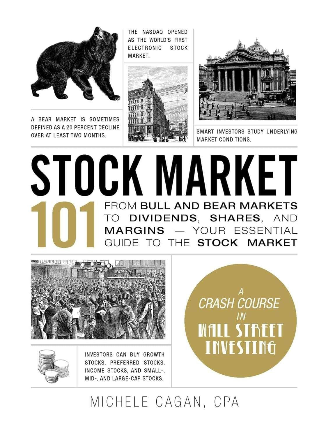 Buy Stock Market 101 by Michele Cagan CPA