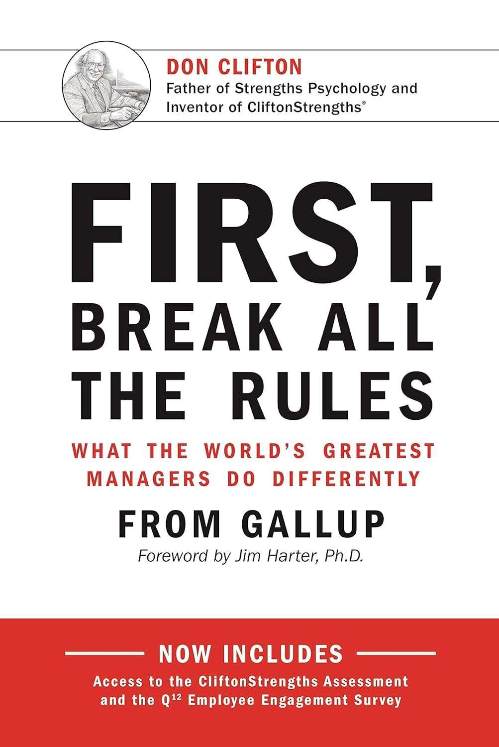 Buy First, Break All The Rules (paperback)