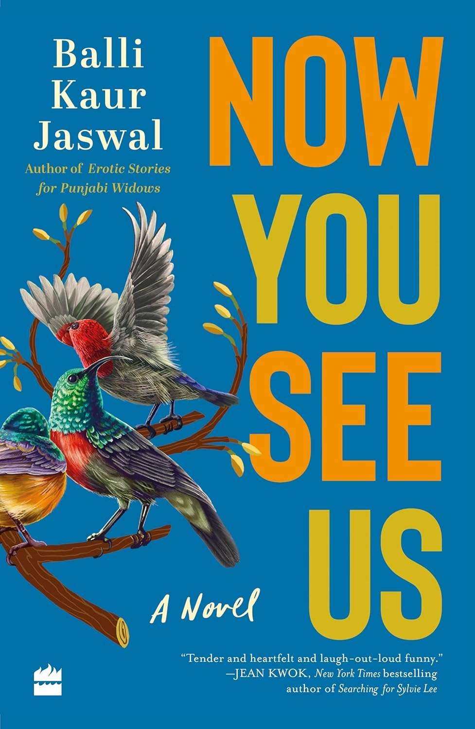 Buy Now You See Us by Balli Kaur Jaswal (paperback)
