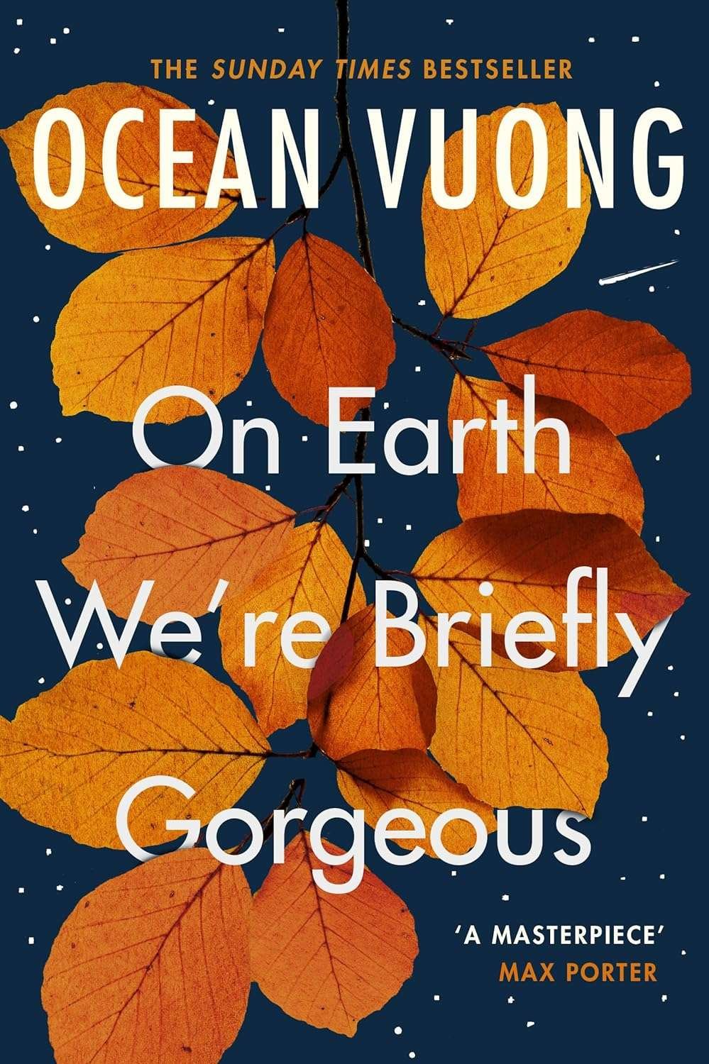 Buy On Earth We're Briefly Gorgeous by Ocean Vuong (paperback)