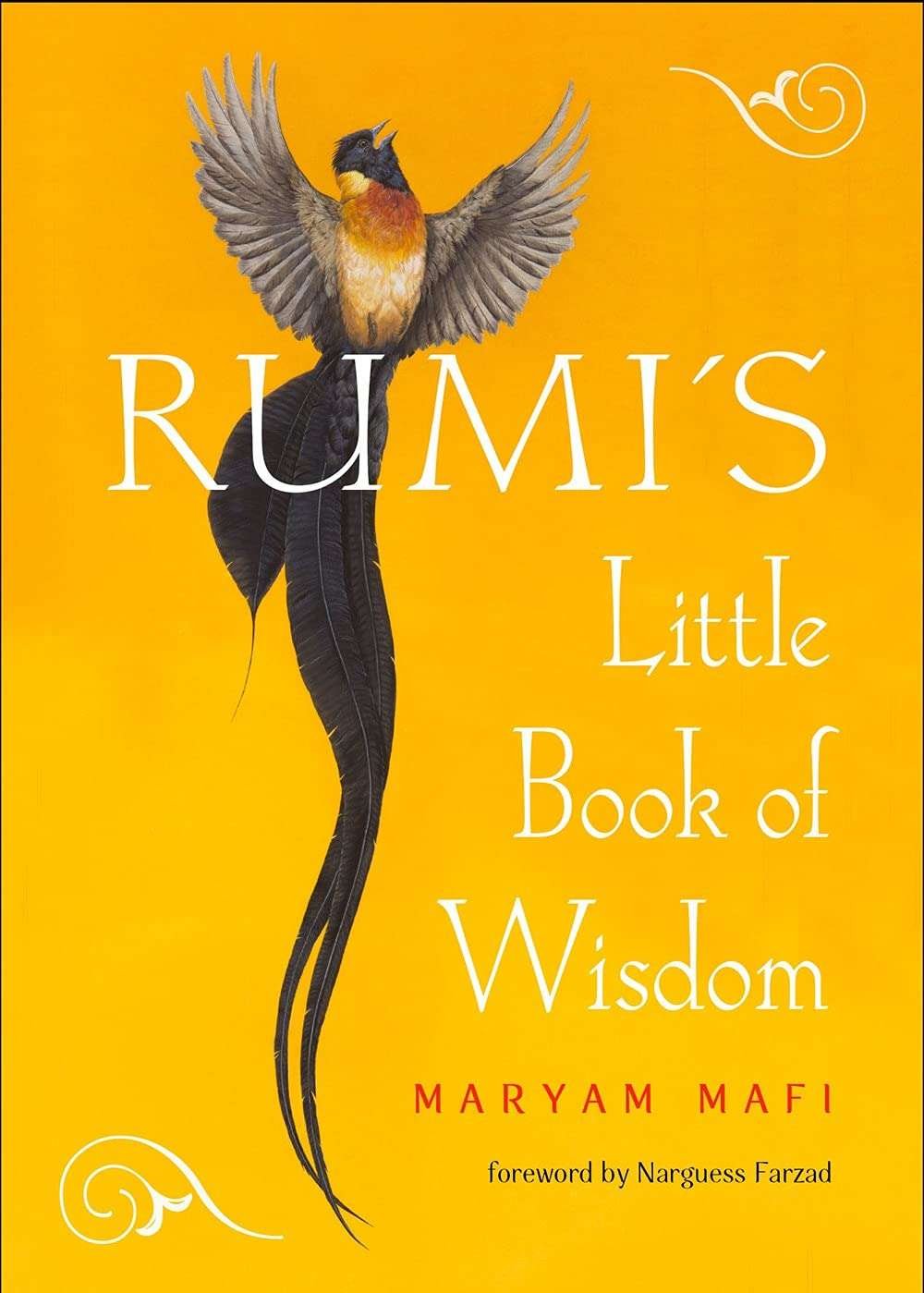 Buy Rumi'S Little Book Of Wisdom by Maryam Mafi Rumi (paperback)