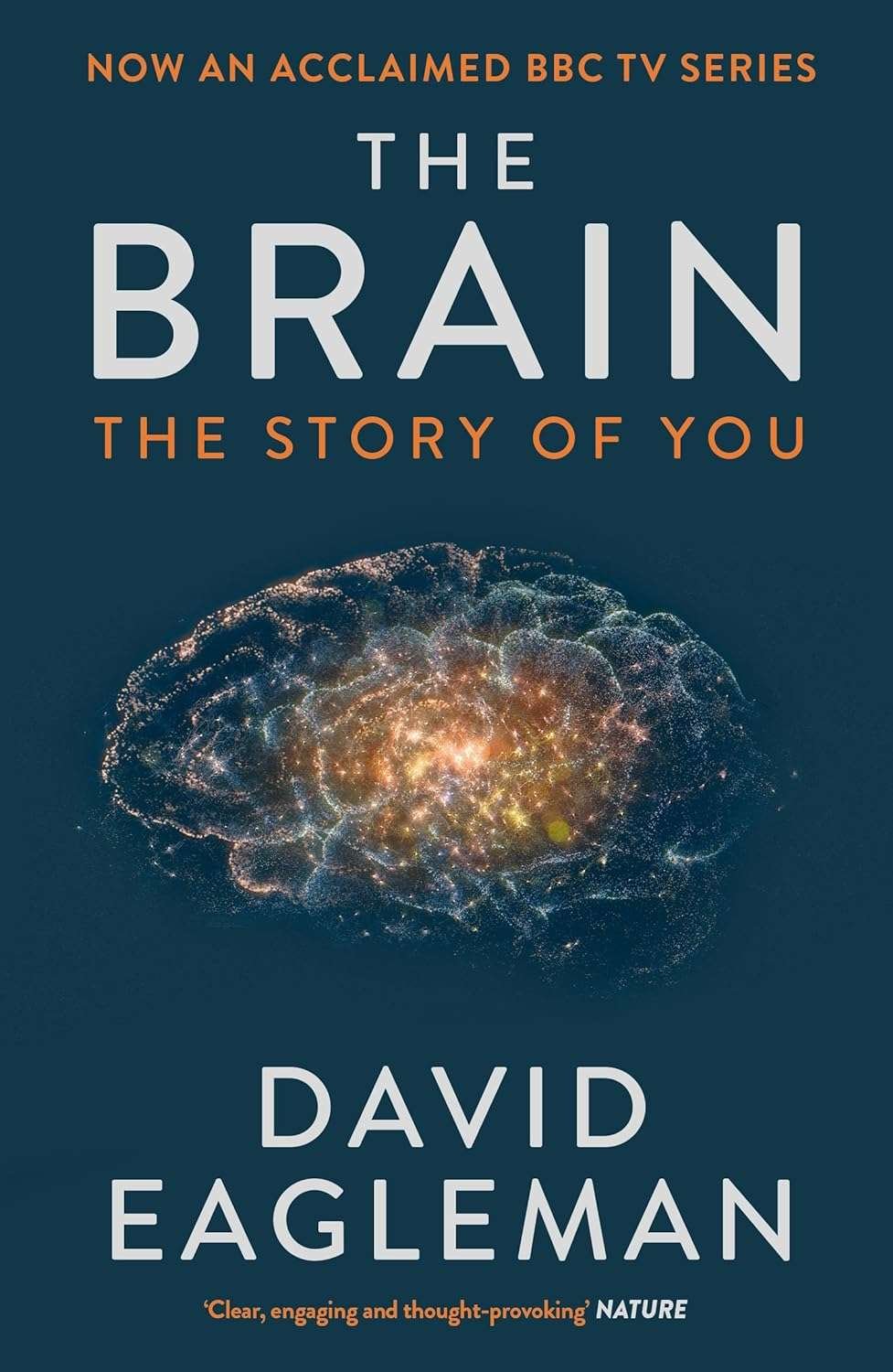 Buy The Brain by David Eagleman (paperback)