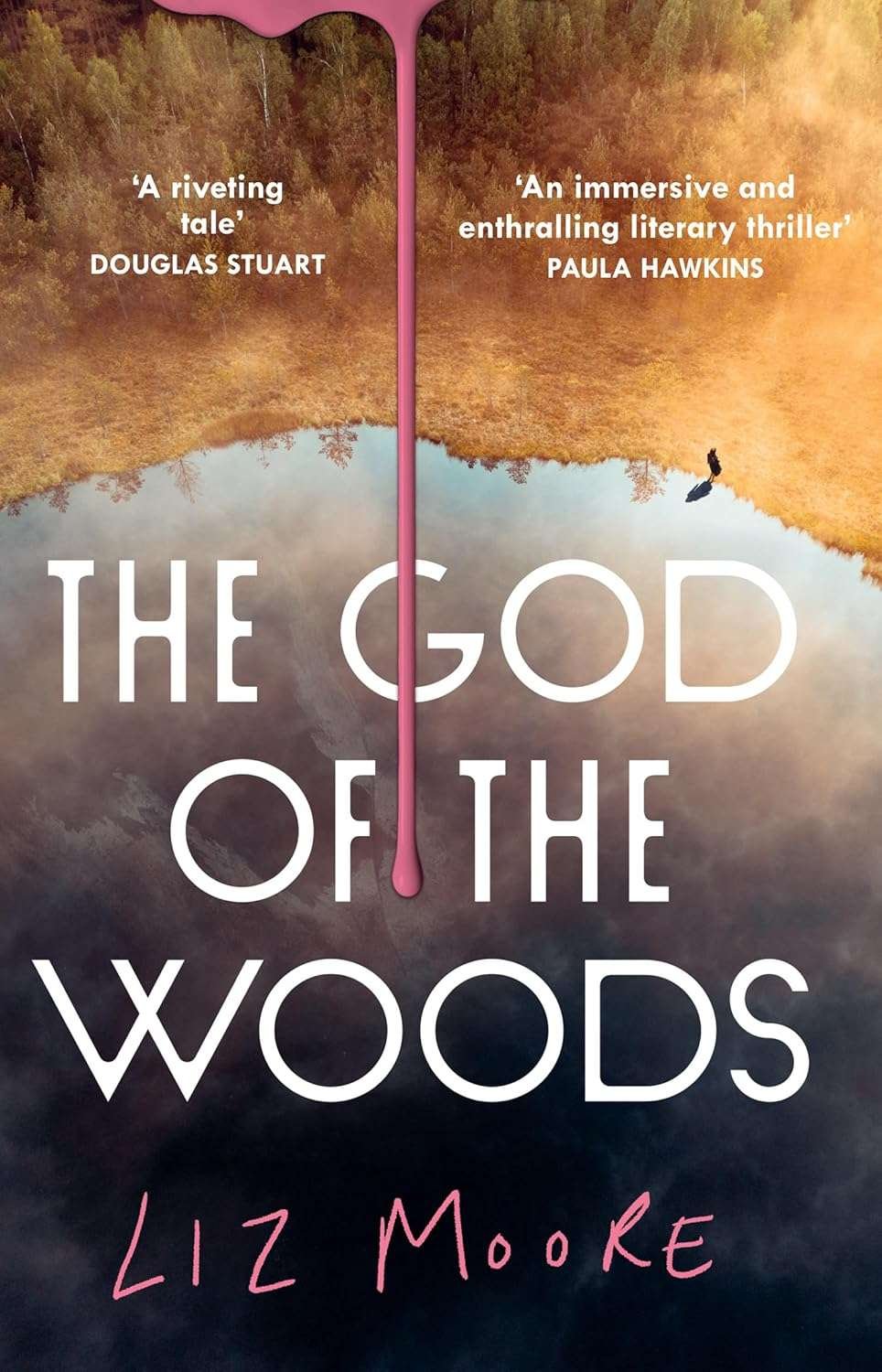 Buy The God of the Woods by Liz Moore (paperback)