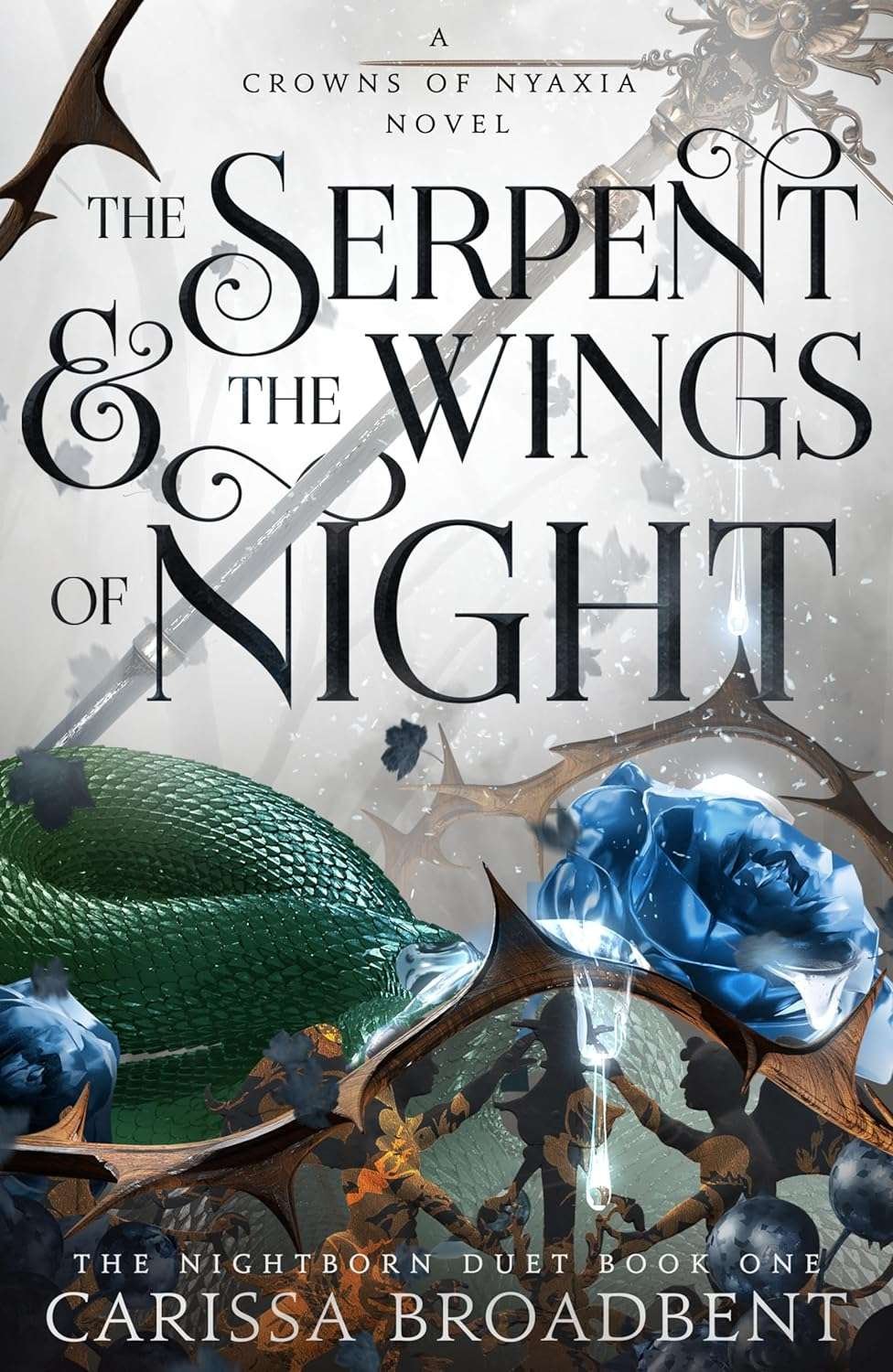 Buy The Serpent And The Wings Of Night by Carissa Broadbent (paperback)