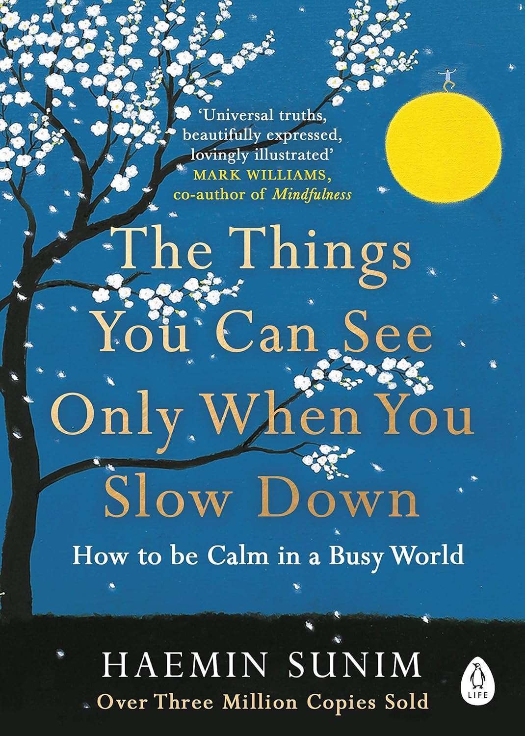 Buy The Things You Can See Only When You Slow Down by Haemin Sunim (paperback)