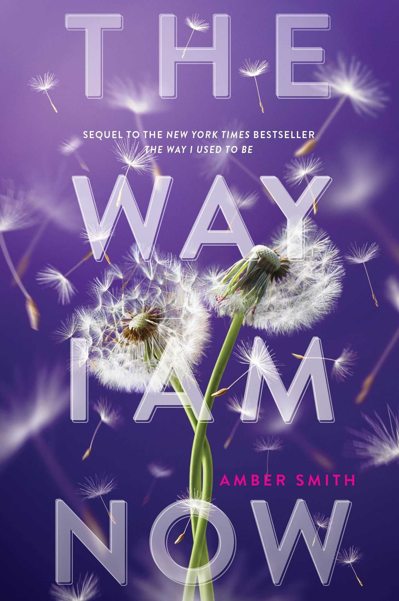 Buy The Way I Am Now  by Amber Smith (paperback)