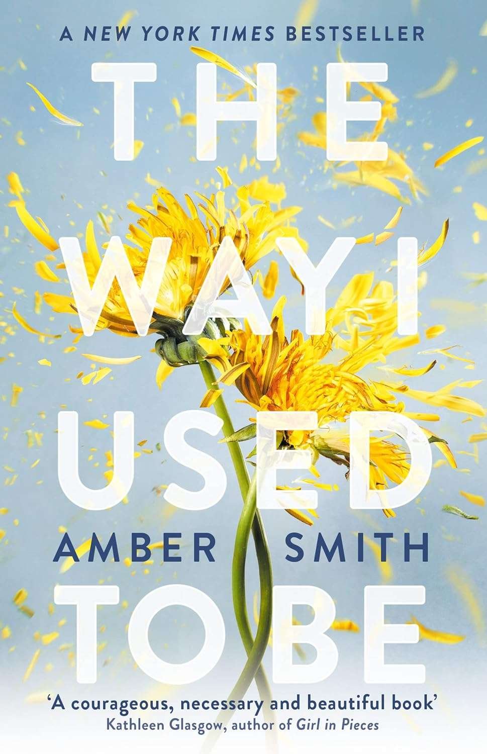 Buy The Way I Used To Be (paperback)